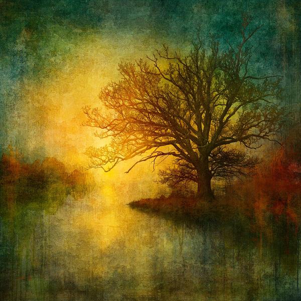 MMP 217 - N51.1413 E0.1555