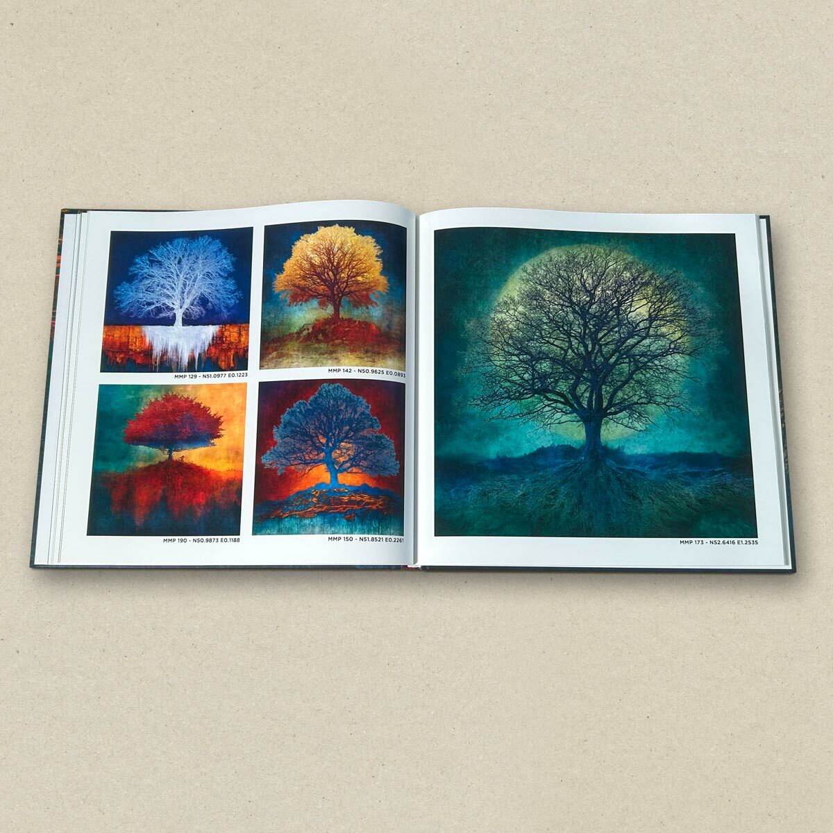 Treescapes Interior One