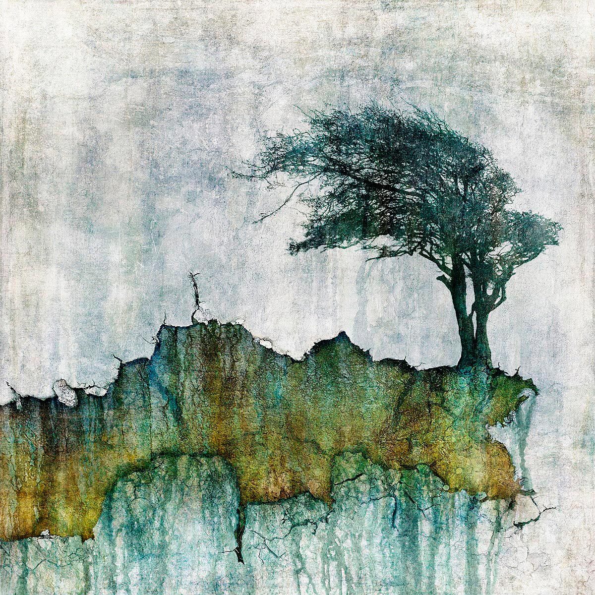 N50.9020 W0.1224